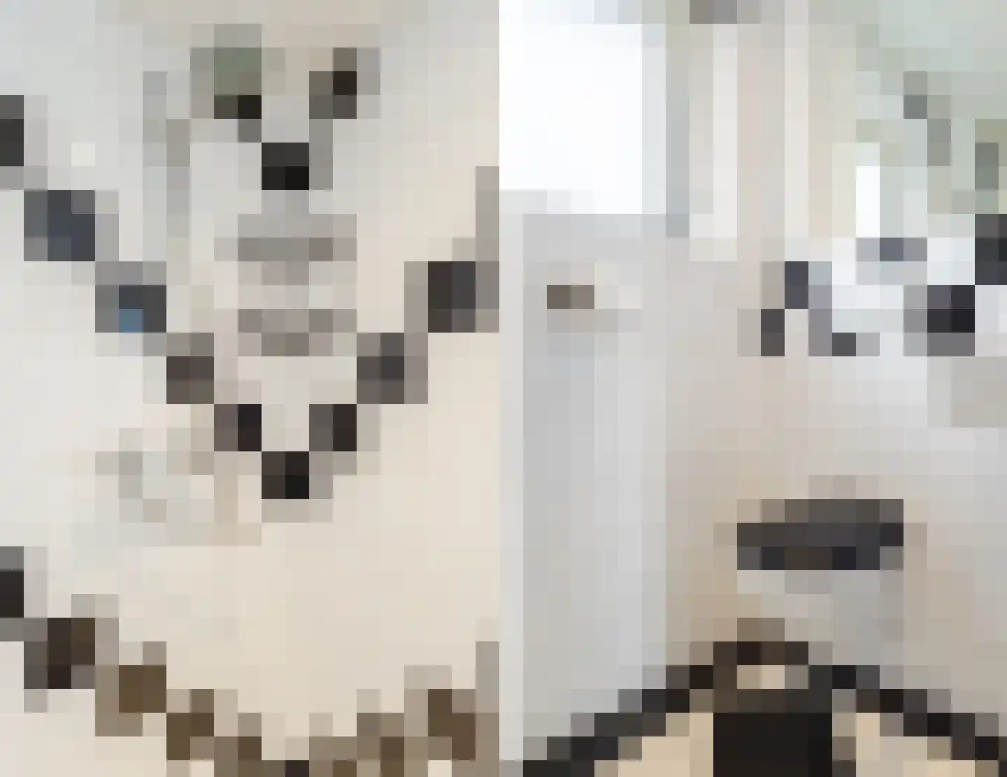 Julianastraat 6 Lichtenvoorde thumbnail 47