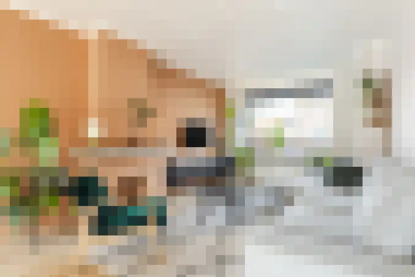Julianastraat 6 Lichtenvoorde thumbnail 5