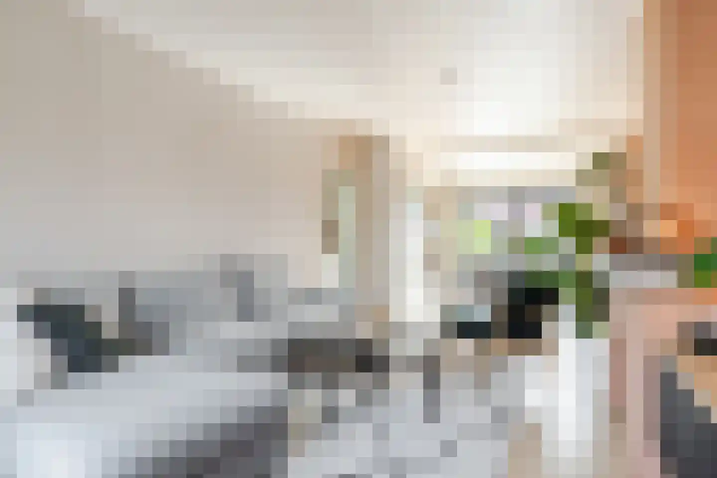 Julianastraat 6 Lichtenvoorde thumbnail 7