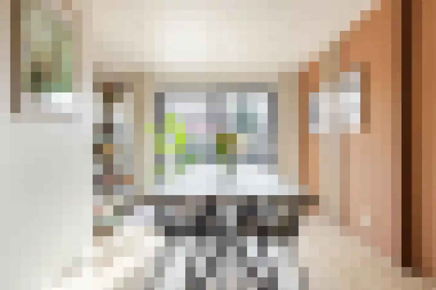 Julianastraat 6 Lichtenvoorde thumbnail 9