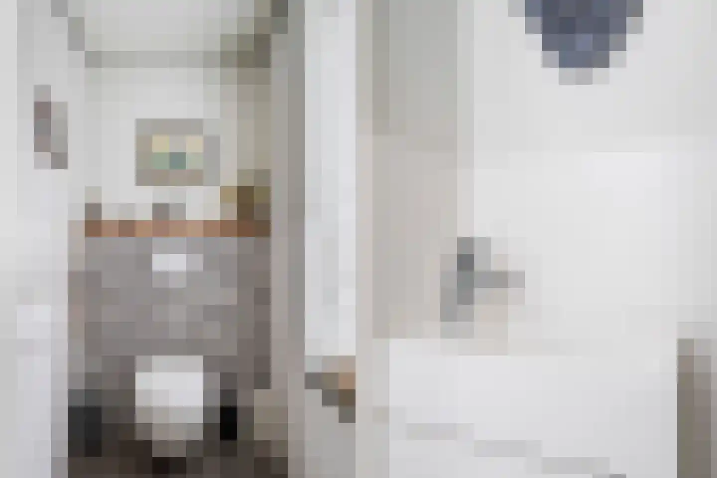Julianastraat 6 Numansdorp thumbnail 11
