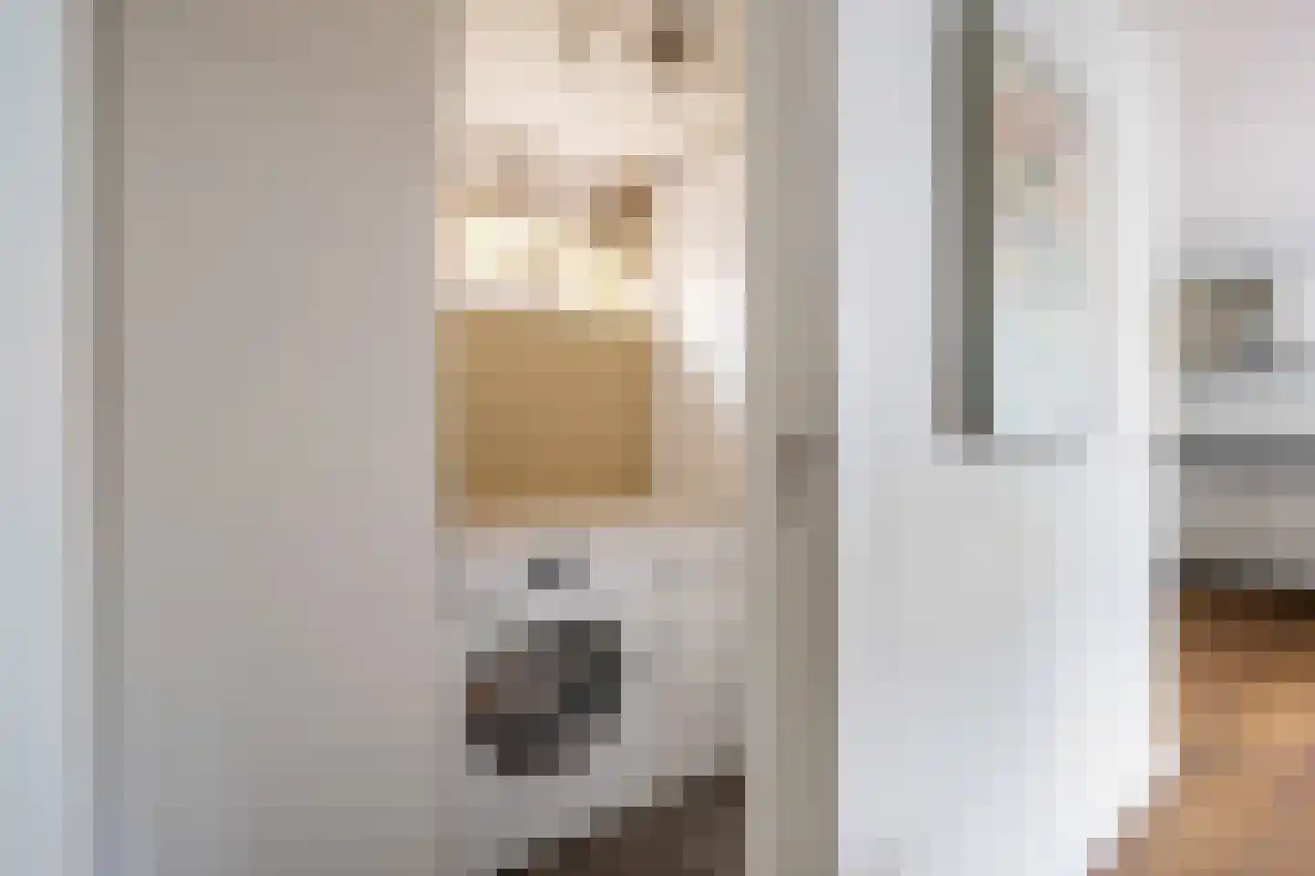 Julianastraat 6 Numansdorp thumbnail 18