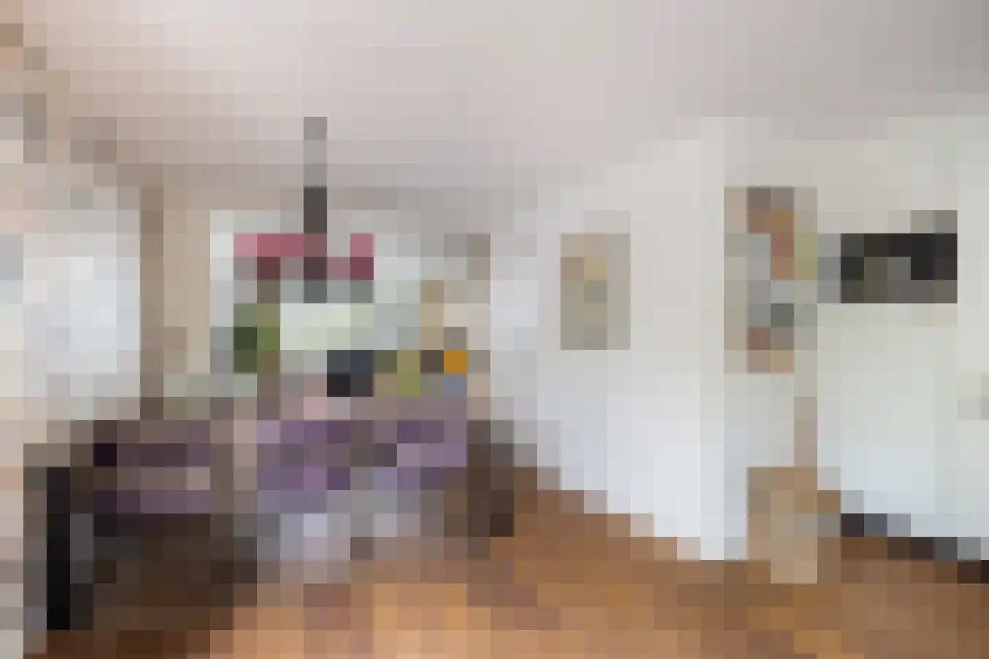 Julianastraat 6 Numansdorp thumbnail 20