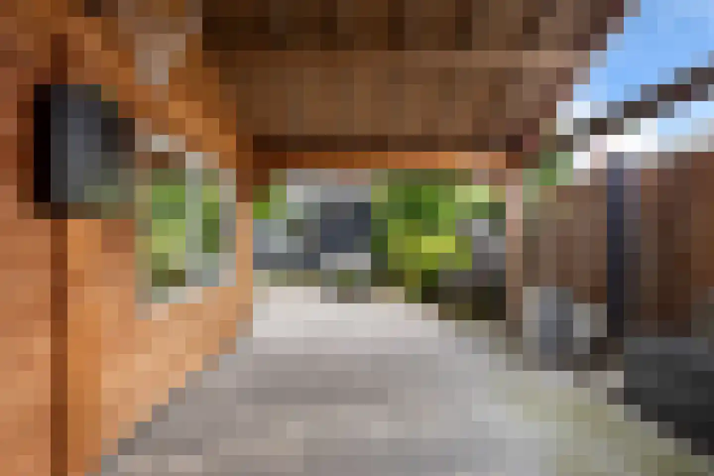 Julianastraat 6 Numansdorp thumbnail 32