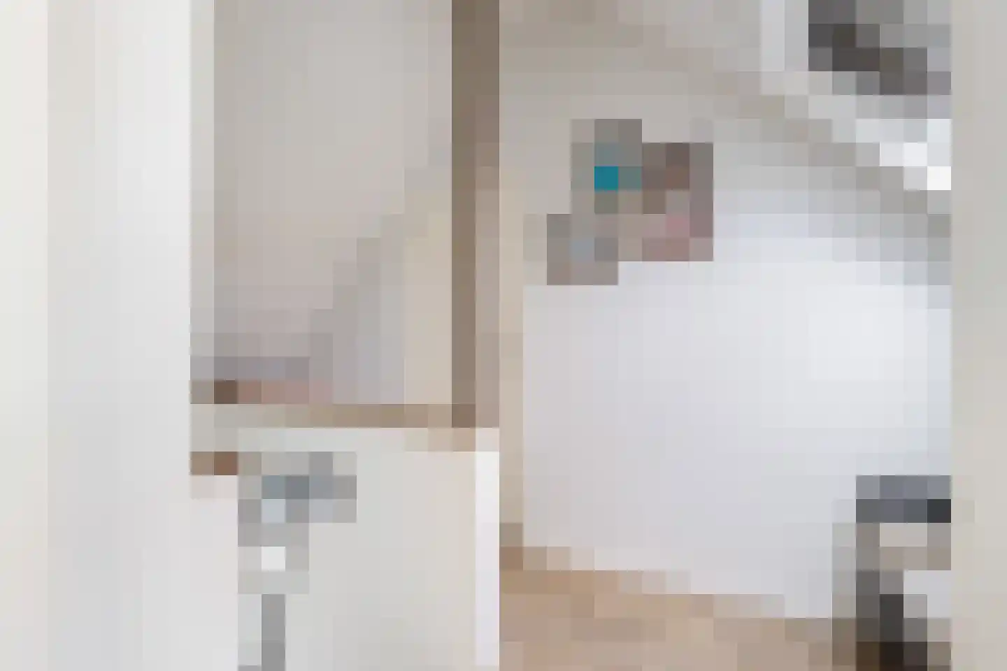 Julianastraat 6 Numansdorp thumbnail 40