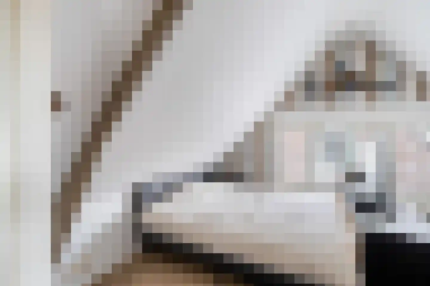 Julianastraat 6 Numansdorp thumbnail 45