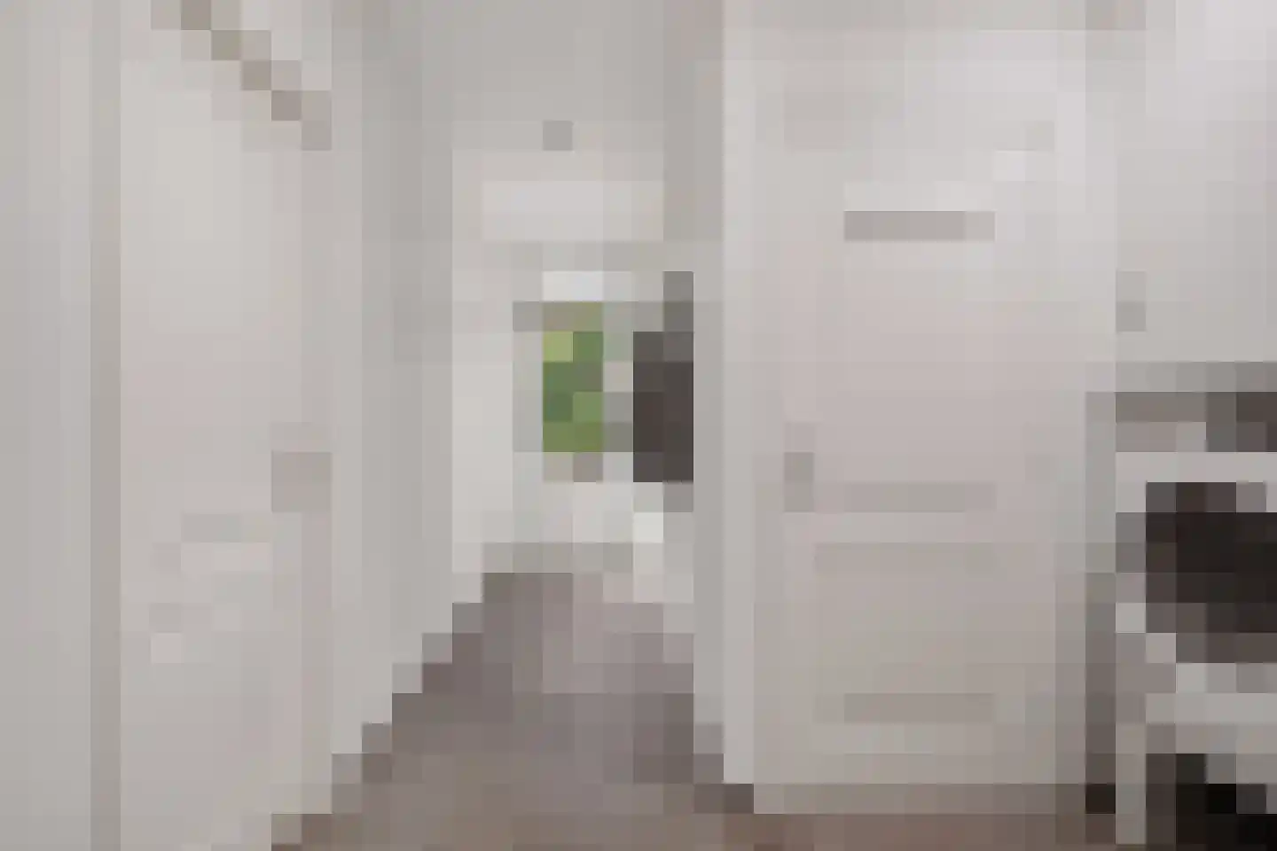 Julianastraat 6 Panningen thumbnail 13