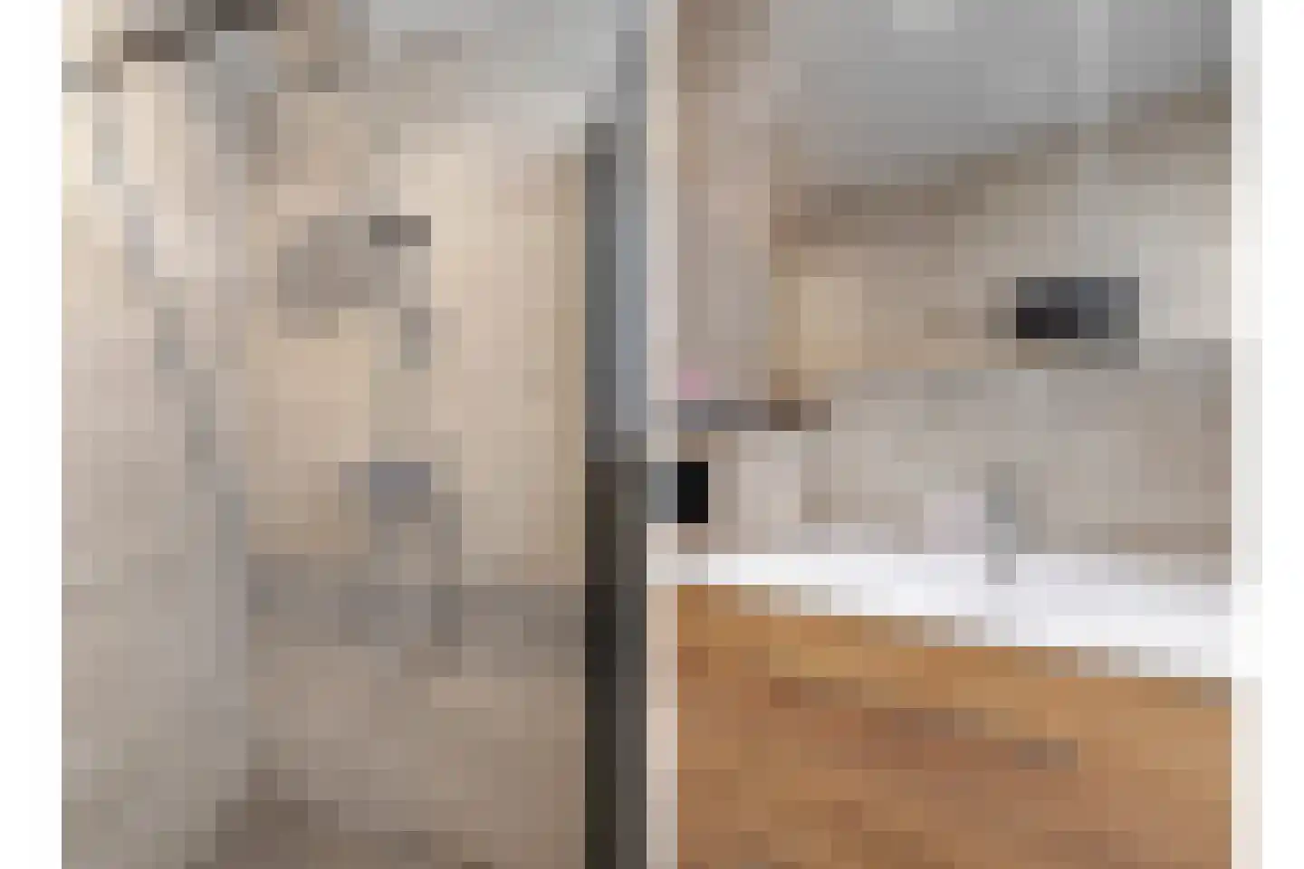 Julianastraat 6 Panningen thumbnail 16