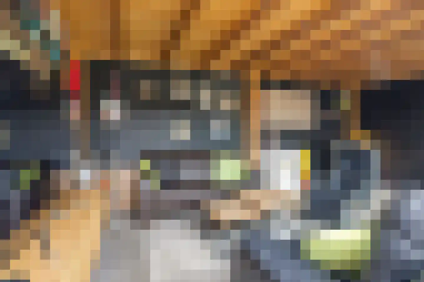 Julianastraat 6 Panningen thumbnail 29