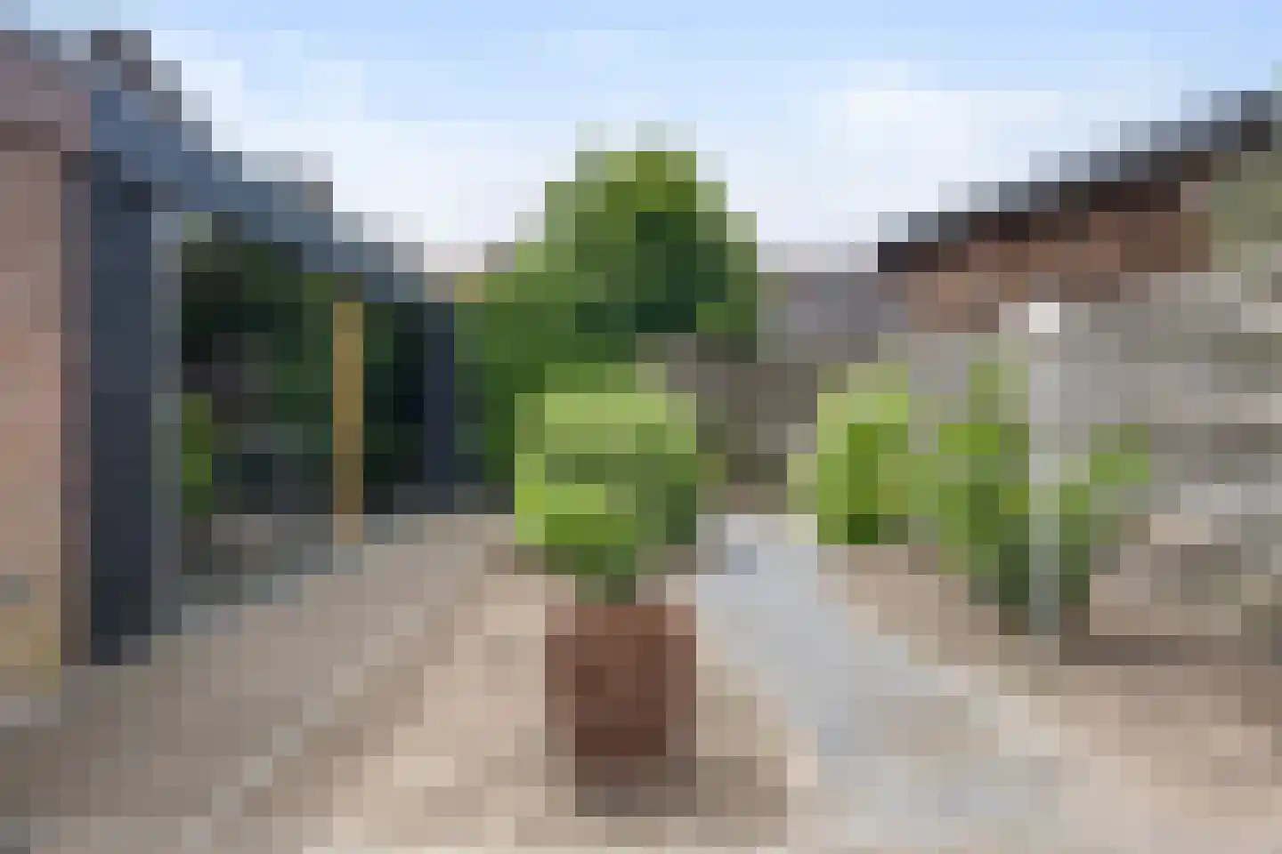 Julianastraat 6 Panningen thumbnail 4