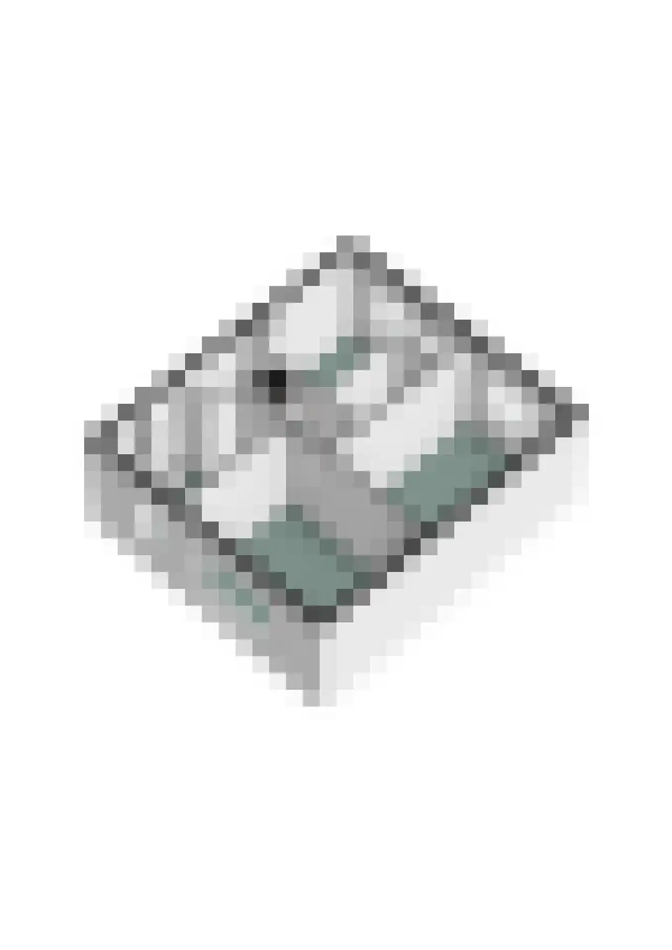 Julianastraat 6 Panningen thumbnail 40