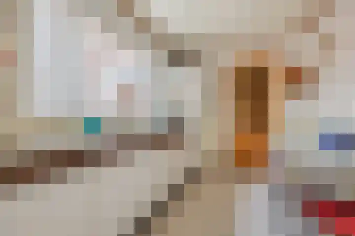 Julianastraat 6 Sas van Gent thumbnail 10