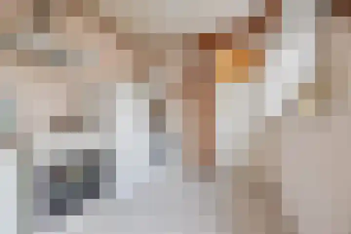 Julianastraat 6 Sas van Gent thumbnail 12