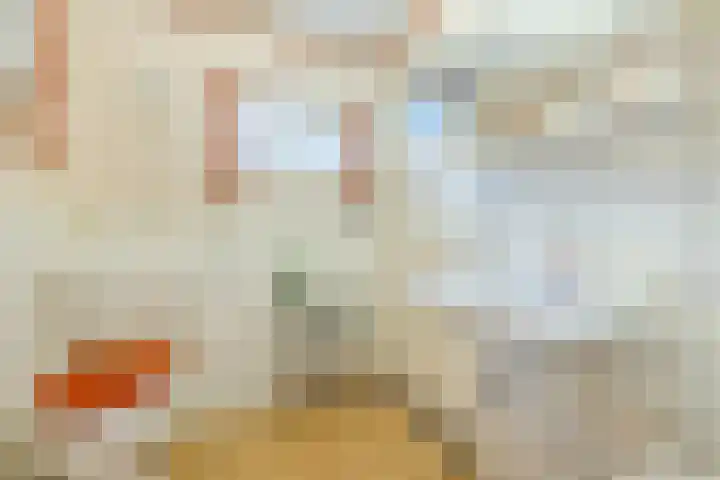 Julianastraat 6 Sas van Gent thumbnail 13