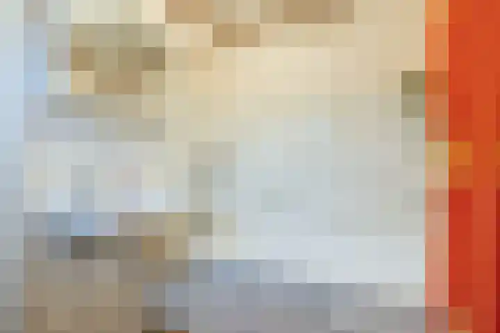 Julianastraat 6 Sas van Gent thumbnail 14