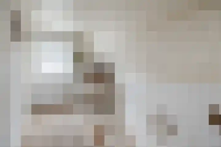Julianastraat 6 Sas van Gent thumbnail 15