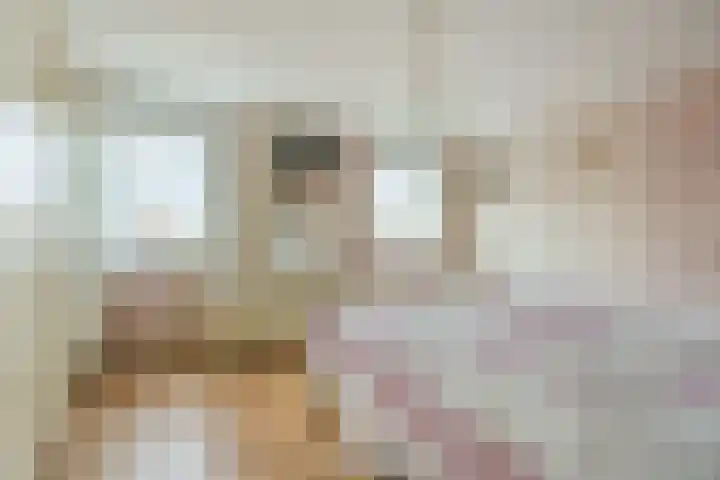 Julianastraat 6 Sas van Gent thumbnail 16