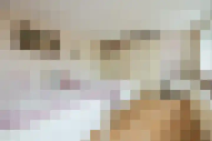Julianastraat 6 Sas van Gent thumbnail 17