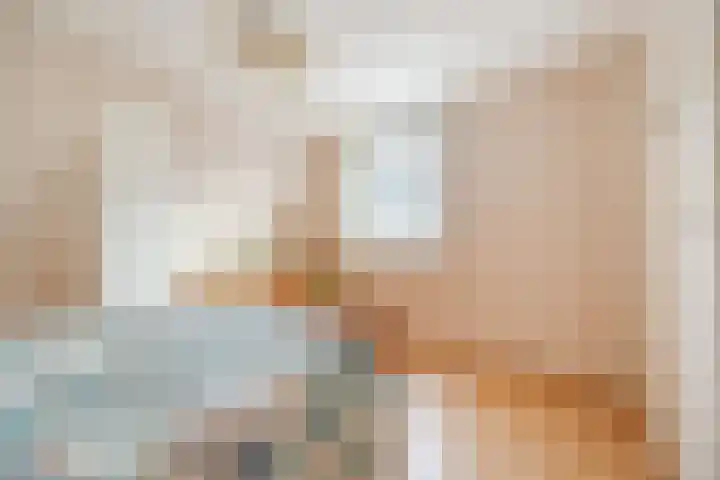 Julianastraat 6 Sas van Gent thumbnail 19
