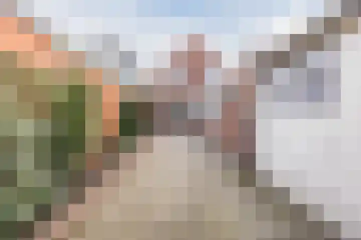 Julianastraat 6 Sas van Gent thumbnail 21