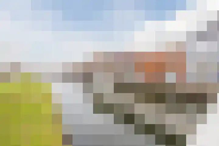 Julianastraat 6 Sas van Gent thumbnail 24
