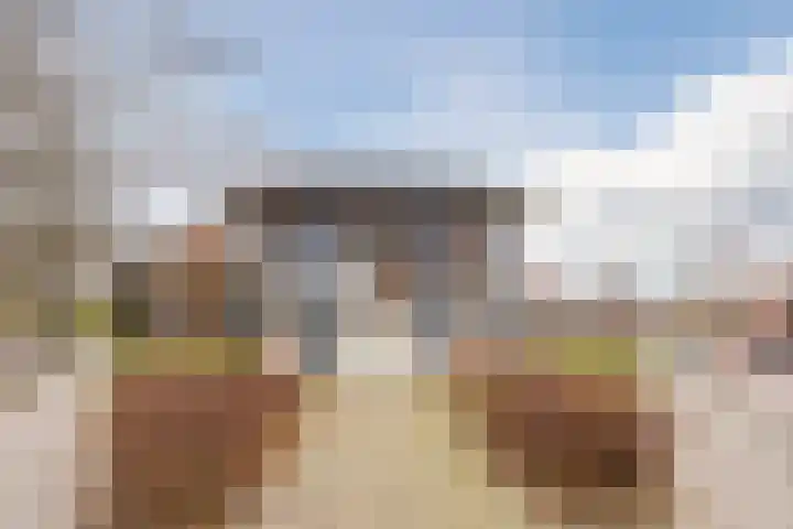 Julianastraat 6 Sas van Gent thumbnail 25