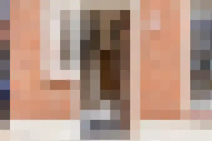 Julianastraat 6 Sas van Gent thumbnail 4