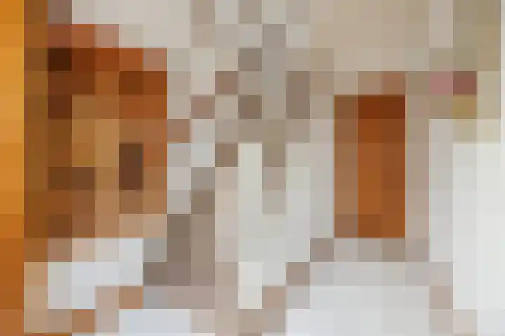 Julianastraat 6 Sas van Gent thumbnail 5