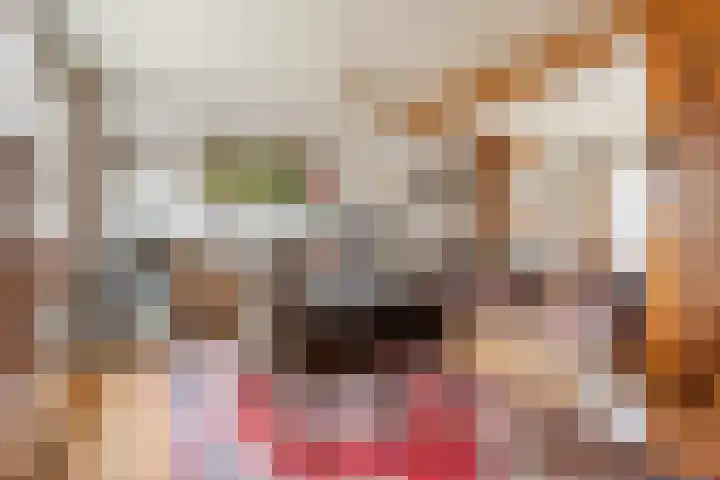 Julianastraat 6 Sas van Gent thumbnail 9