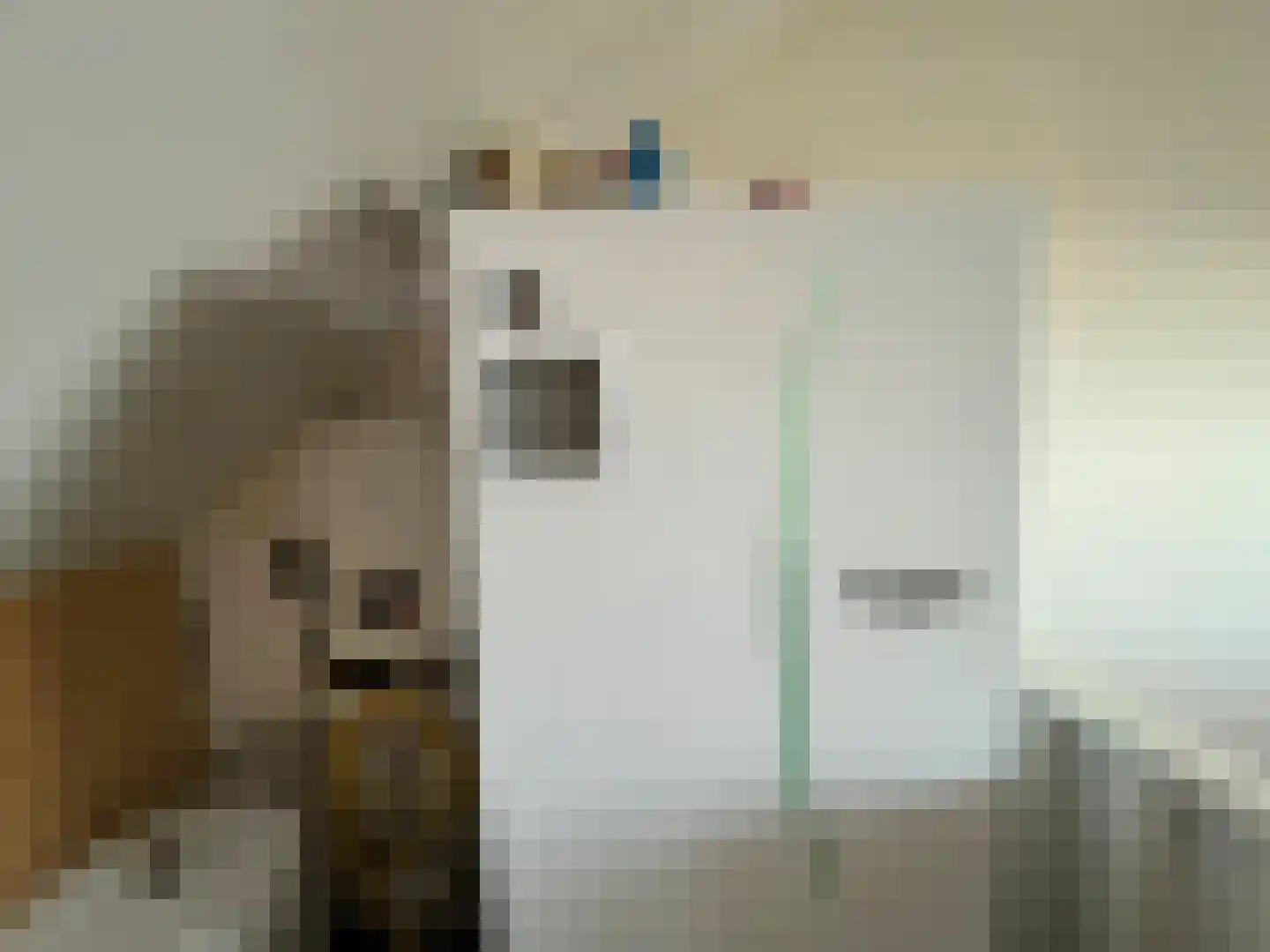Julianastraat 60 Meerlo thumbnail 17