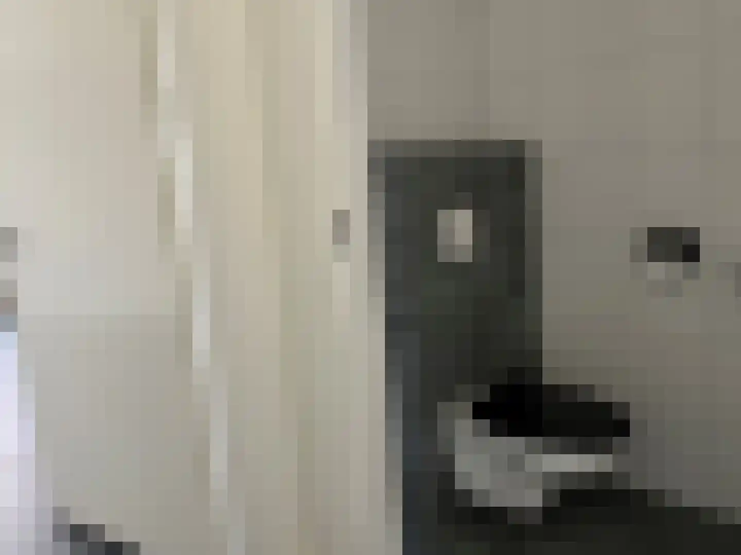 Julianastraat 60 Meerlo thumbnail 8