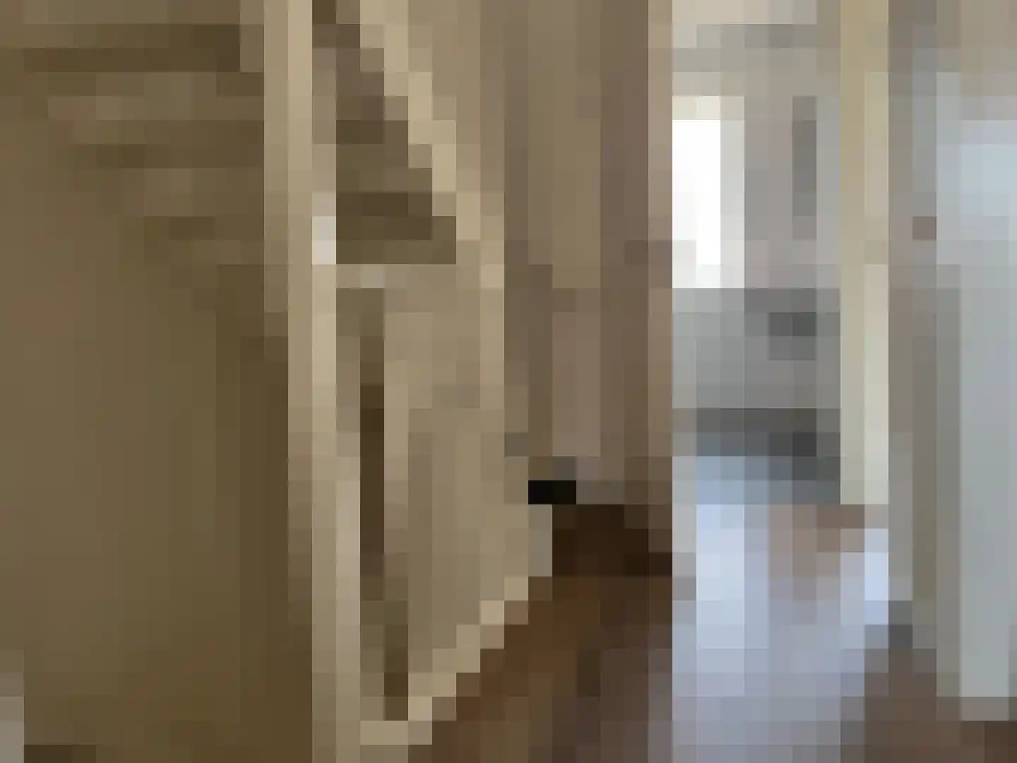 Julianastraat 60 Meerlo thumbnail 9