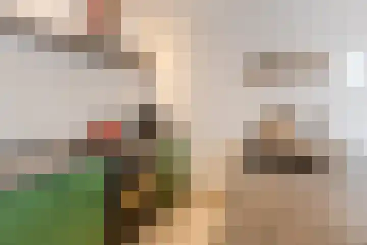 Julianastraat 60 Rijen thumbnail 14