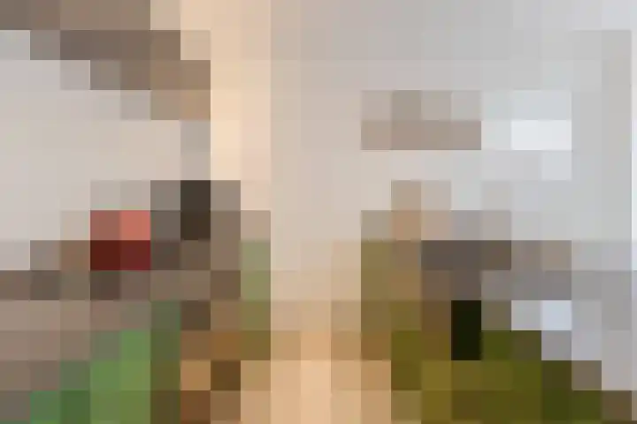 Julianastraat 60 Rijen thumbnail 15