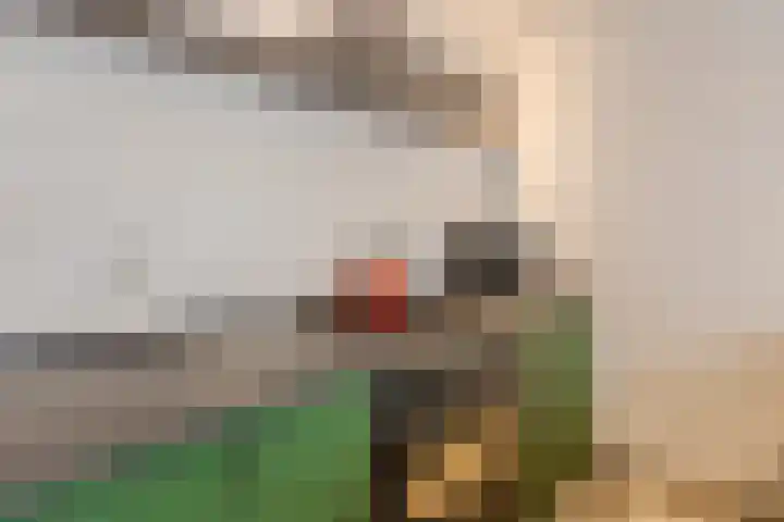 Julianastraat 60 Rijen thumbnail 16