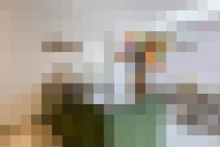 Julianastraat 60 Rijen thumbnail 17