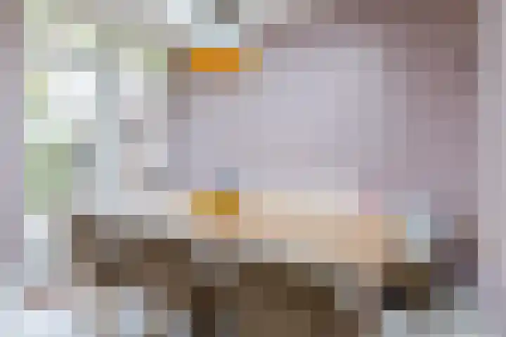 Julianastraat 60 Rijen thumbnail 19