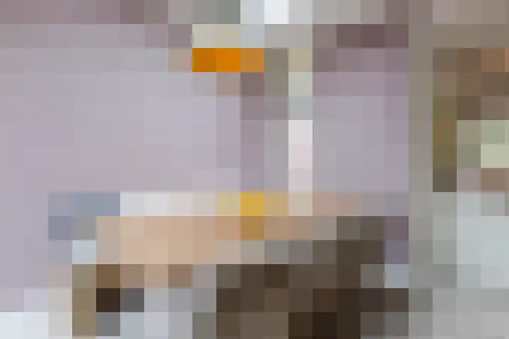 Julianastraat 60 Rijen thumbnail 20