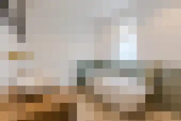 Julianastraat 60 Rijen thumbnail 22