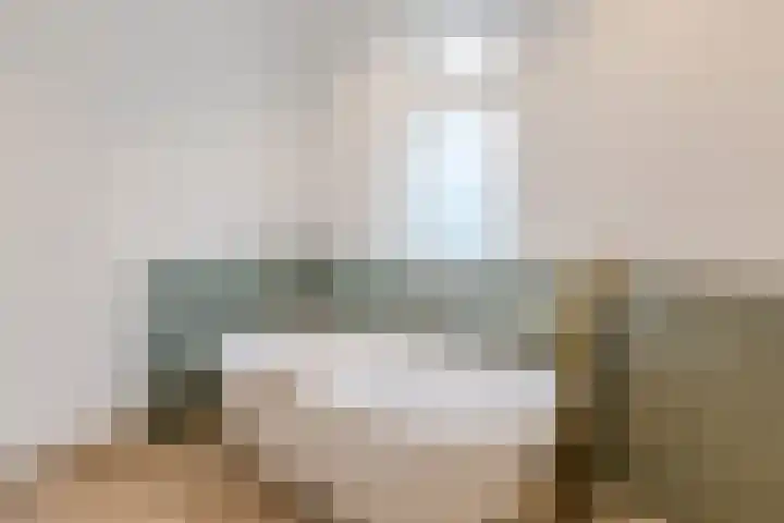 Julianastraat 60 Rijen thumbnail 23