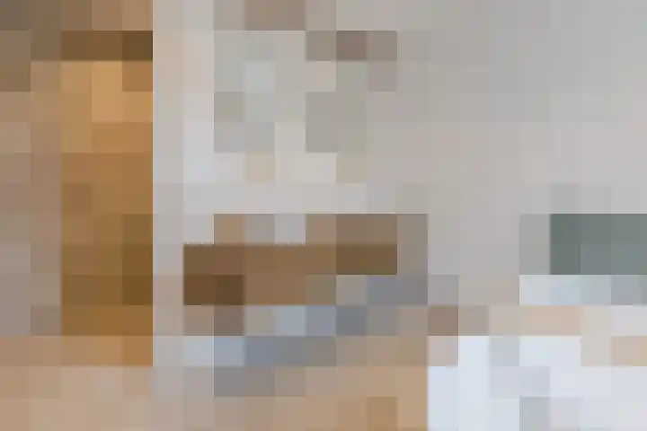 Julianastraat 60 Rijen thumbnail 24