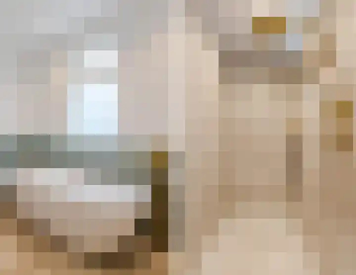 Julianastraat 60 Rijen thumbnail 26
