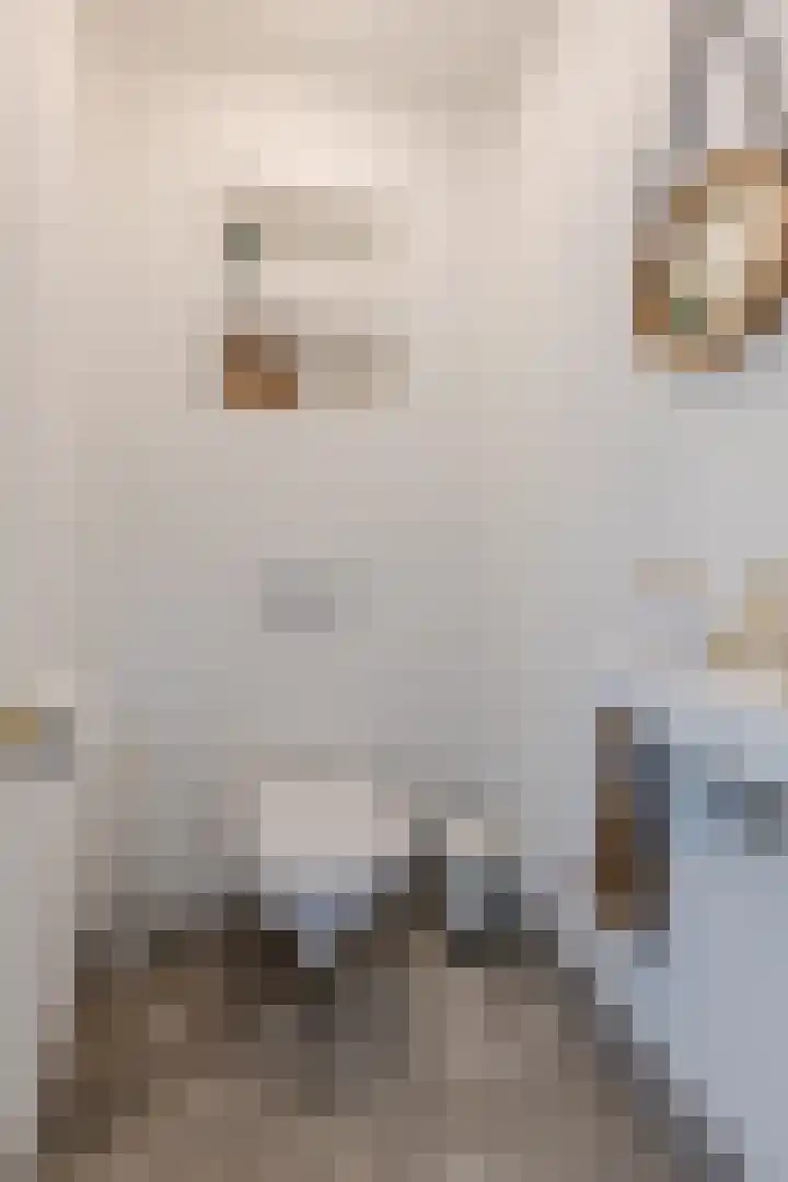 Julianastraat 60 Rijen thumbnail 27