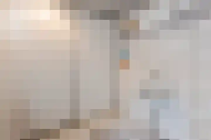 Julianastraat 60 Rijen thumbnail 28