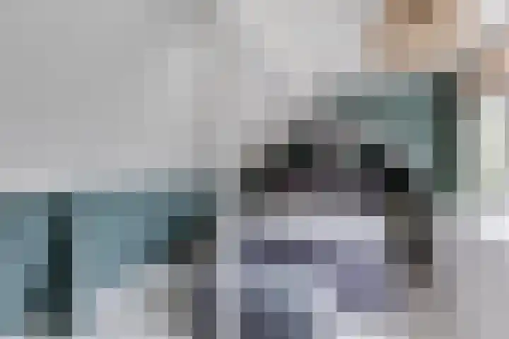 Julianastraat 60 Rijen thumbnail 31