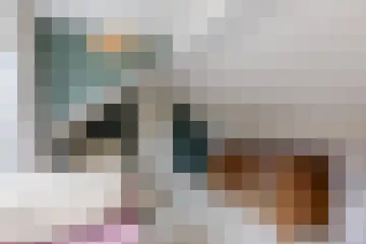 Julianastraat 60 Rijen thumbnail 41
