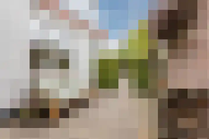 Julianastraat 60 Rijen thumbnail 45