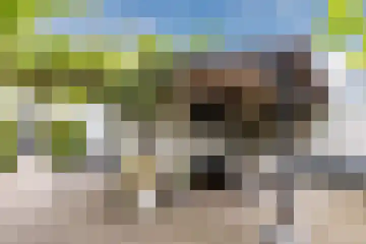 Julianastraat 60 Rijen thumbnail 50