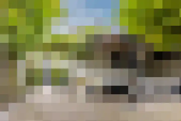 Julianastraat 60 Rijen thumbnail 51