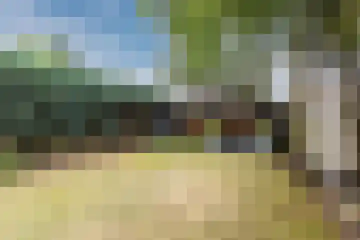 Julianastraat 60 Rijen thumbnail 52